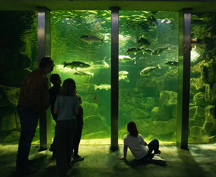 ocean zone